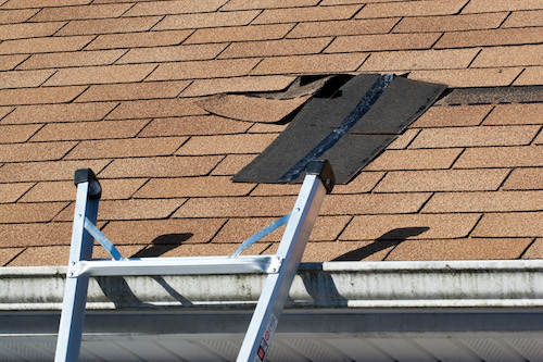 Shingle Wind Damage Roof Repair